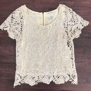 Greylin boutique cream lace with silver top
